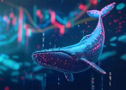 As BTC price heads to $70k Bitcoin whales invest $700b